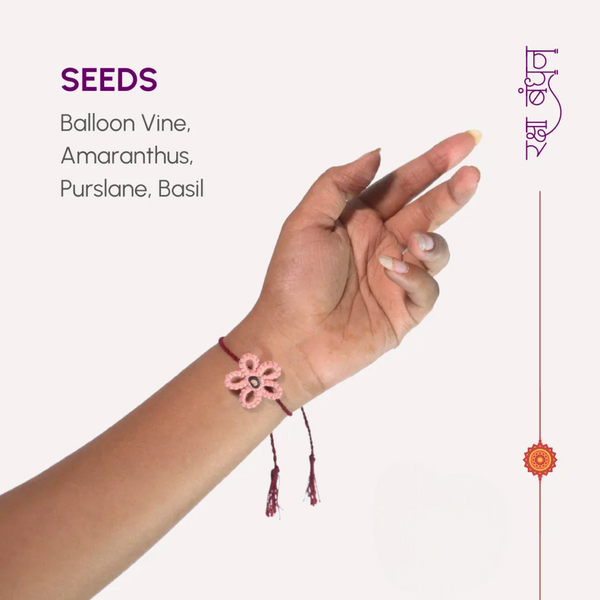 Seed Bands (Rakhi) Best Seller Pack of 1 | Seeds of Love, Threads of Bond - Karigaari India Aesthetic Home Decor