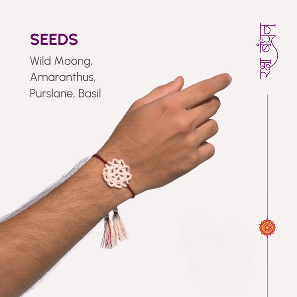 Seed Bands (Rakhi) Best Seller Pack of 1 | Seeds of Love, Threads of Bond - Karigaari India Aesthetic Home Decor