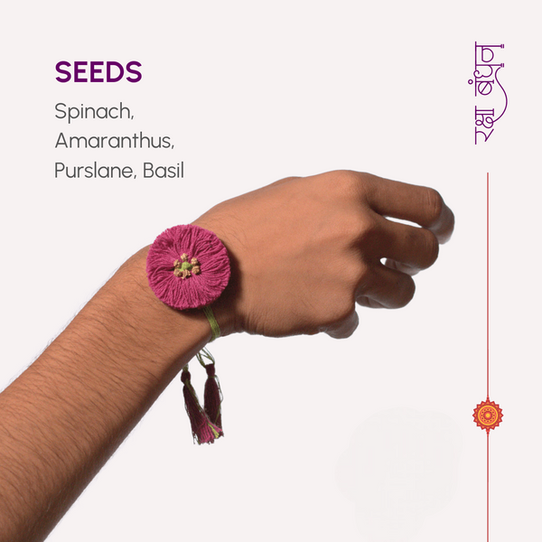 Seed Bands (Rakhi) Best Seller Pack of 1 | Seeds of Love, Threads of Bond - Karigaari India Aesthetic Home Decor