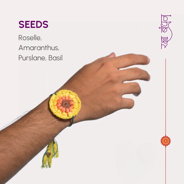 Seed Bands (Rakhi) Best Seller Pack of 1 | Seeds of Love, Threads of Bond - Karigaari India Aesthetic Home Decor
