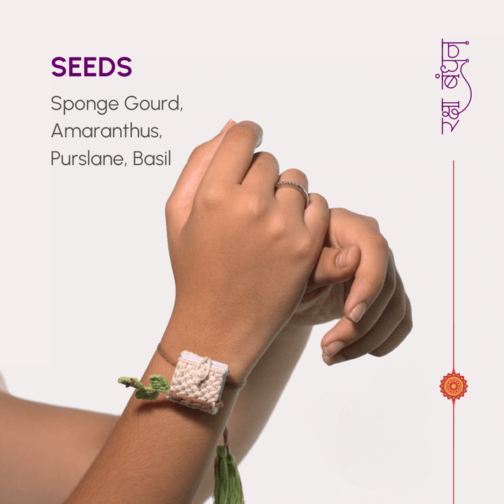 Seed Bands (Rakhi) Best Seller Pack of 1 | Seeds of Love, Threads of Bond - Karigaari India Aesthetic Home Decor