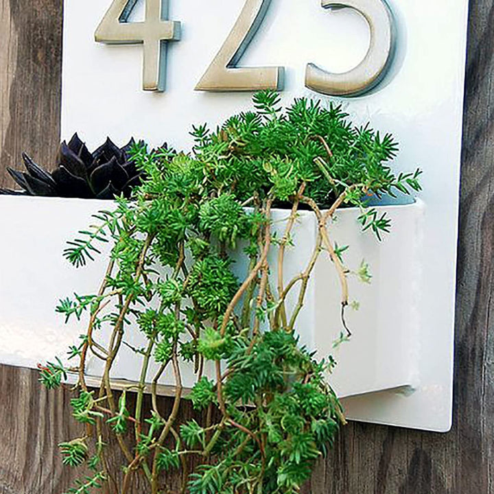 Number Plate with Planter in Black Matte Finish - Karigaari India Aesthetic Home Decor