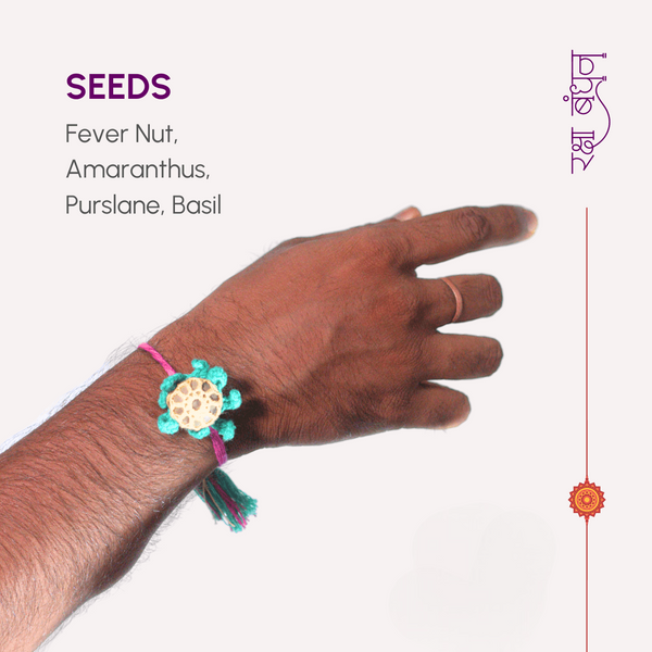 Plantable Seed Rakhis | Eco-Friendly Raksha Bandhan Gifts | Grow Your Love - Karigaari India Aesthetic Home Decor