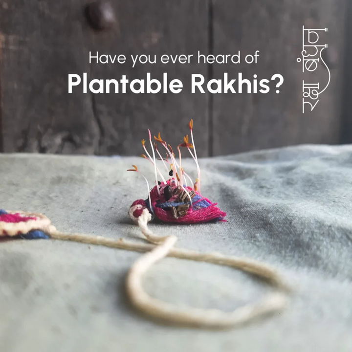 Seed Bands (Rakhi) Best Seller Pack of 1 | Seeds of Love, Threads of Bond - Karigaari India Aesthetic Home Decor
