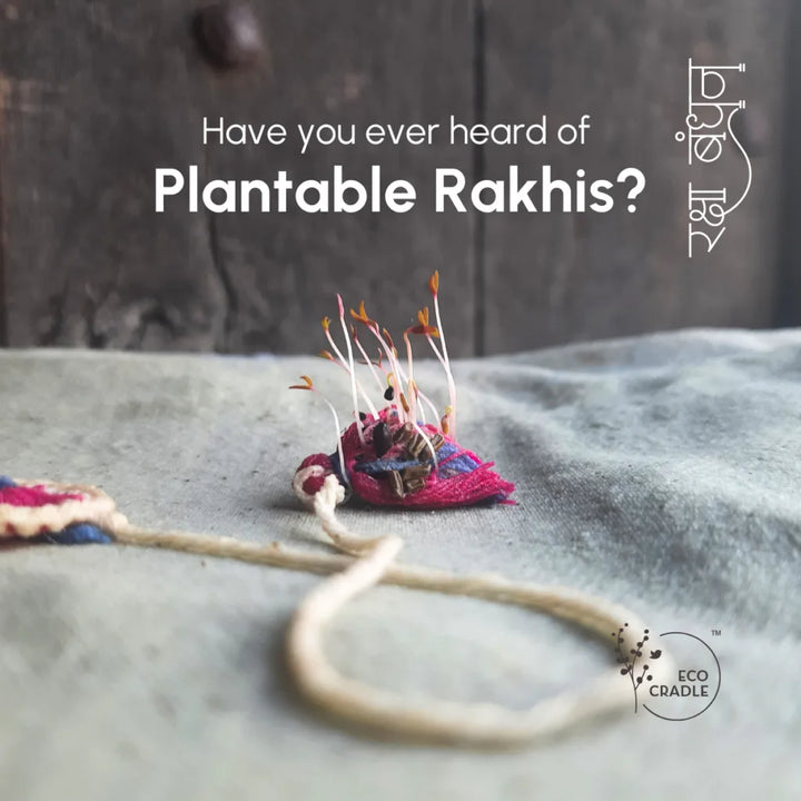 Seed Bands (Rakhi) Best Seller Pack of 1 | Seeds of Love, Threads of Bond - Karigaari India Aesthetic Home Decor