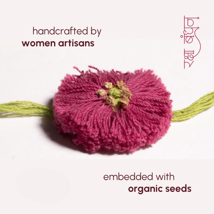Seed Bands (Rakhi) Best Seller Pack of 1 | Seeds of Love, Threads of Bond - Karigaari India Aesthetic Home Decor