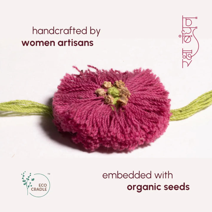 Seed Bands (Rakhi) Best Seller Pack of 1 | Seeds of Love, Threads of Bond - Karigaari India Aesthetic Home Decor