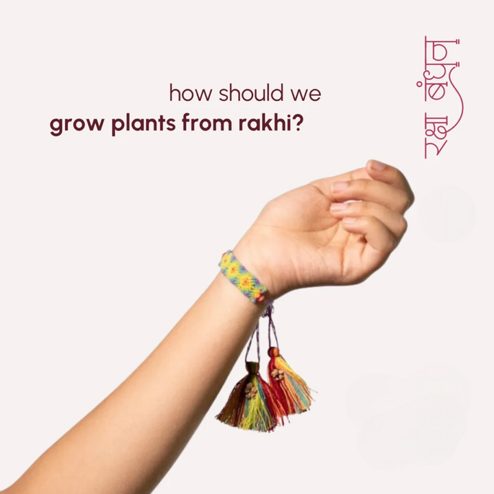 Seed Bands (Rakhi) Best Seller Pack of 1 | Seeds of Love, Threads of Bond - Karigaari India Aesthetic Home Decor