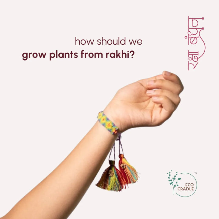 Seed Bands (Rakhi) Best Seller Pack of 1 | Seeds of Love, Threads of Bond - Karigaari India Aesthetic Home Decor