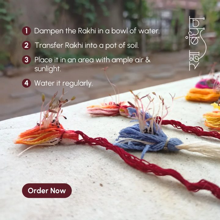 Seed Bands (Rakhi) Best Seller Pack of 1 | Seeds of Love, Threads of Bond - Karigaari India Aesthetic Home Decor