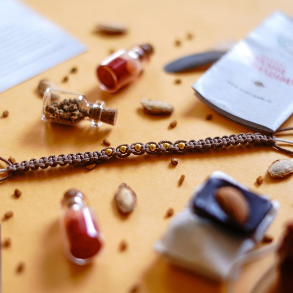 Seed Bands (Rakhi) Best Seller Pack of 1 | Seeds of Love, Threads of Bond - Karigaari India Aesthetic Home Decor